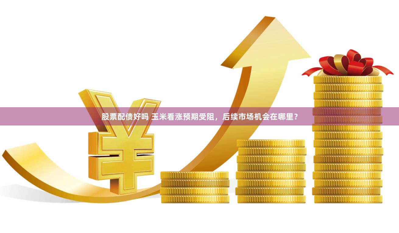 股票配债好吗 玉米看涨预期受阻，后续市场机会在哪里？