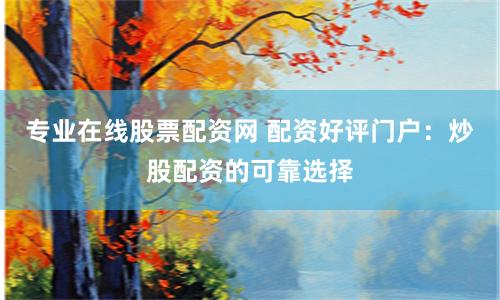 专业在线股票配资网 配资好评门户：炒股配资的可靠选择