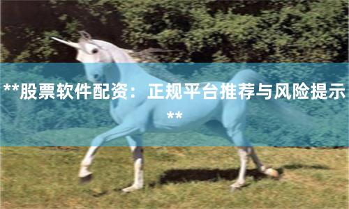 **股票软件配资：正规平台推荐与风险提示**