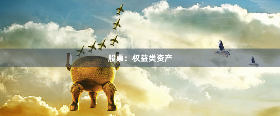 股票：权益类资产