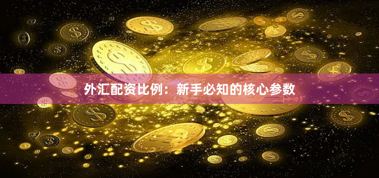 外汇配资比例：新手必知的核心参数