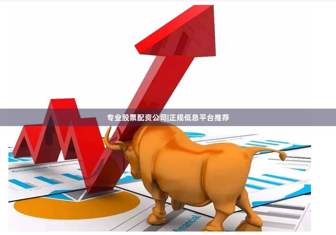 专业股票配资公司|正规低息平台推荐