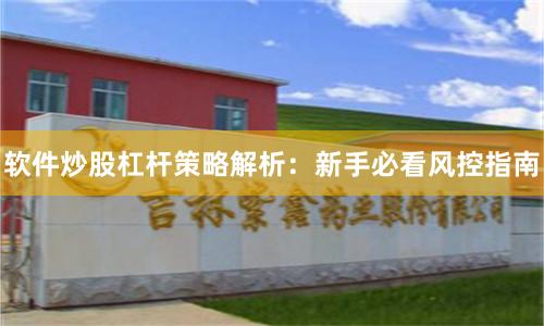 软件炒股杠杆策略解析：新手必看风控指南